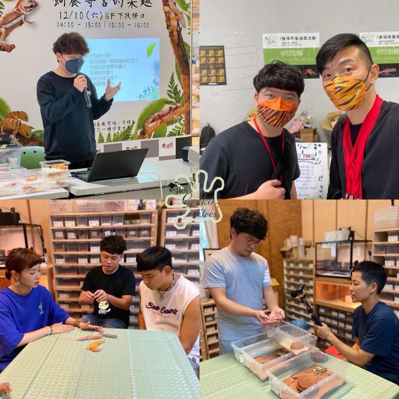 守宮精靈